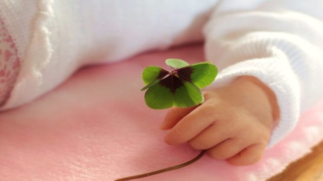 rsz_four-leaf-clover-1892660_1920