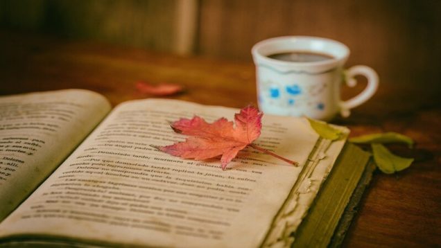 rsz_leaves-1076307_1280