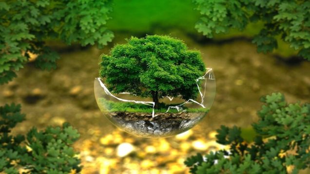 rsz_environmental-protection-g4065a7cd1_1280
