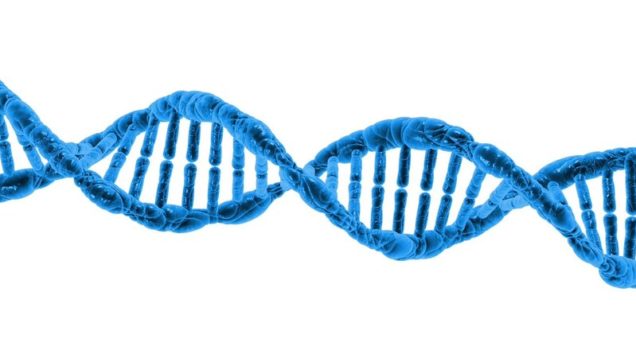 rsz_dna-g781474e19_1280