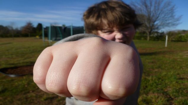 rsz_fist-bump-g6c6f92ddf_1280