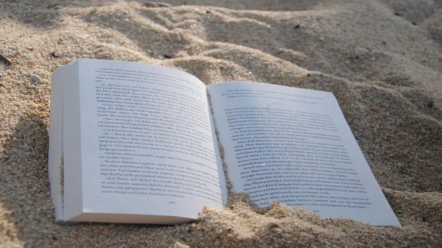 rsz_1a-book-1549589_1920