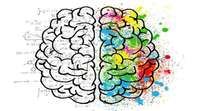rsz_1brain-2062057_1280