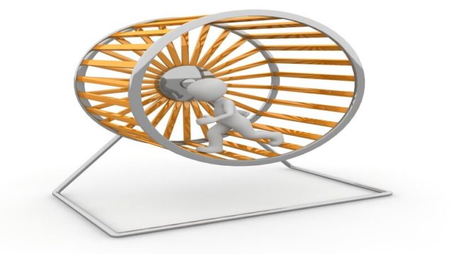 rsz_1hamster-wheel-1014047_1280