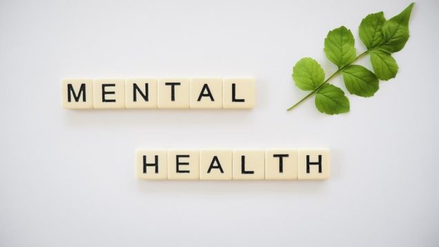 rsz_mental-health-4232031_1280