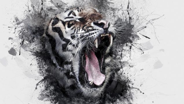 tiger-3248779_1280