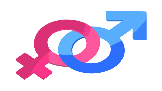 rsz_1gender-312411_1280