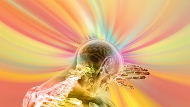 rsz_brain-4490831_1280