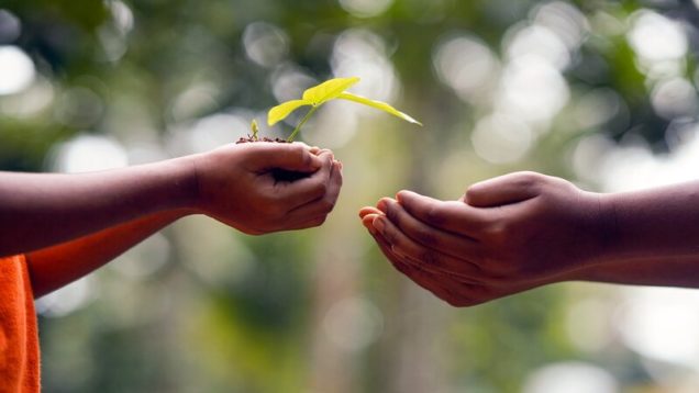 rsz_hands-5618238_1280