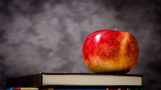 rsz_apple-256262_1280