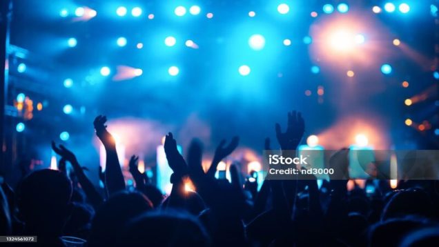 Party people enjoy concert at festival. Crowd at concert. Summer music festival