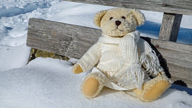 rsz_teddy-2058361_1280
