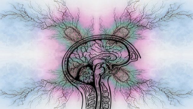 rsz_tourette-syndrome-7194133_1280