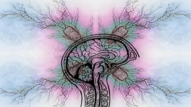 rsz_tourette-syndrome-7194133_1280
