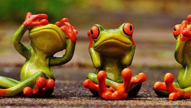 frogs-1274769_1920
