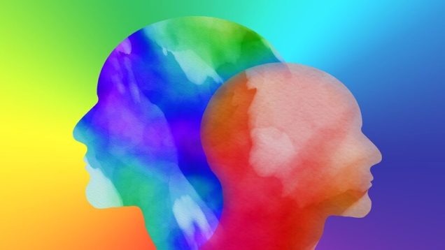 rsz_head-3001166_1280
