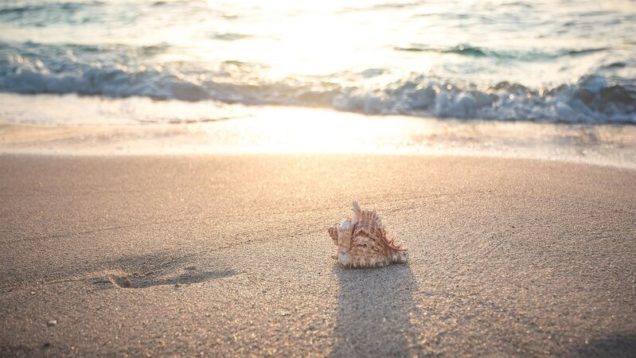 rsz_beach-4301479_1280
