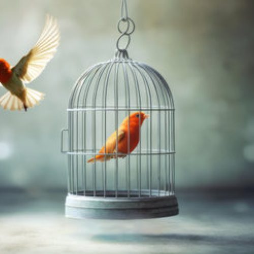 Il Taglio Emotivo: l’illusione di fuggire per liberarsi.